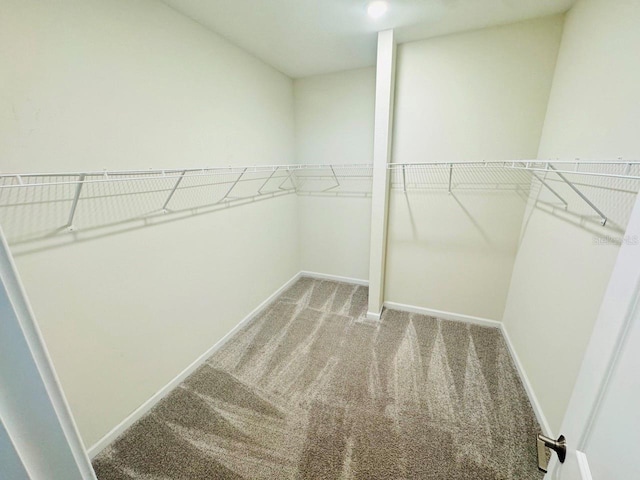 1711 Lake Sims Pkwy, Ocoee, FL 34761 - photo 13