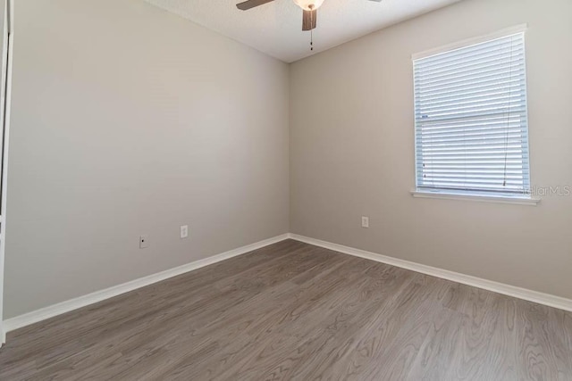 447 Flamingo Ct, Kissimmee, FL 34759 - photo 23