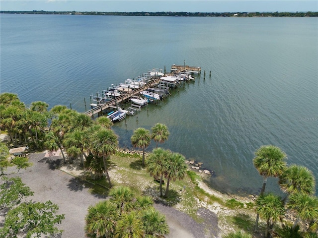 178 Bluefish Pl Unit 178, Rockledge, FL 32955 - photo 49