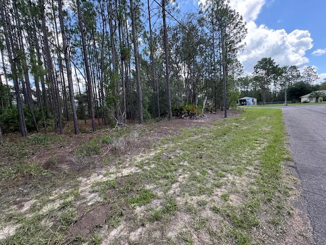 7022 N Lockwood Way, Citrus Springs, FL 34434 - photo 4