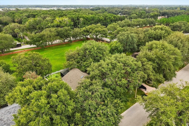 1011 Vassar Dr, Eustis, FL 32726 - photo 31