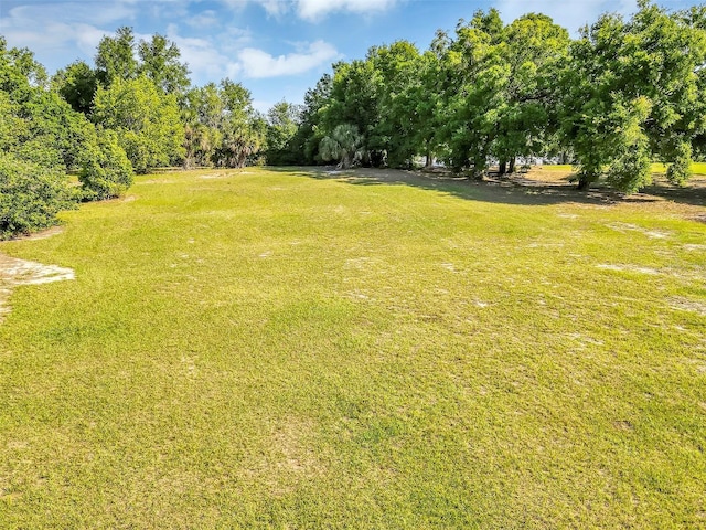 4162 Laughlin, Mount Dora, FL 32757 - photo 2