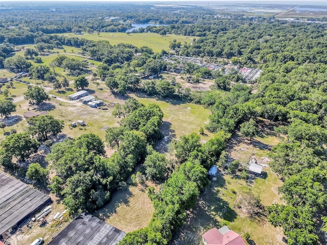 4162 Laughlin, Mount Dora, FL 32757 - photo 10