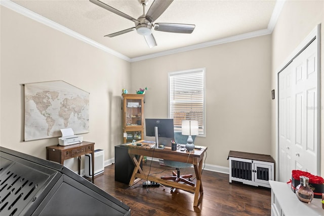 309 W Oakland Ave, Oakland, FL 34760 - photo 13