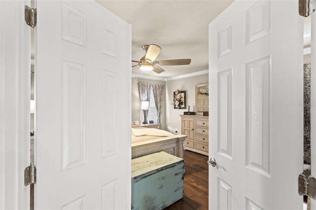 309 W Oakland Ave, Oakland, FL 34760 - photo 16