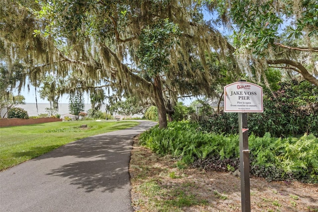 309 W Oakland Ave, Oakland, FL 34760 - photo 46