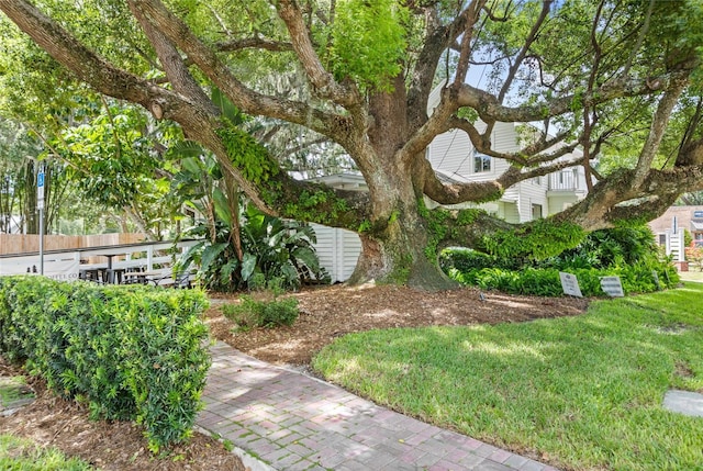 309 W Oakland Ave, Oakland, FL 34760 - photo 47