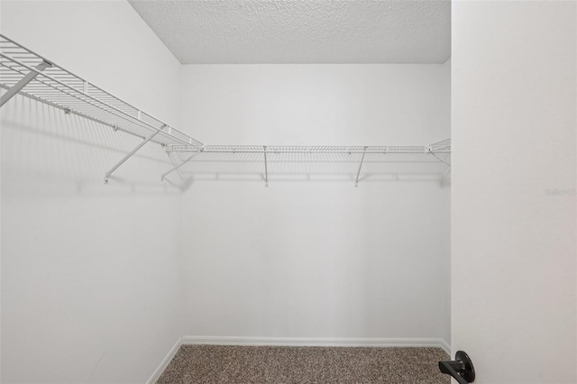 2025 Eastbourne Way Unit 7, Orlando, FL 32812 - photo 9