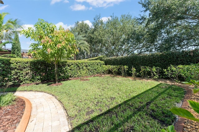 1524 Lake Rhea Dr, Windermere, FL 34786 - photo 64
