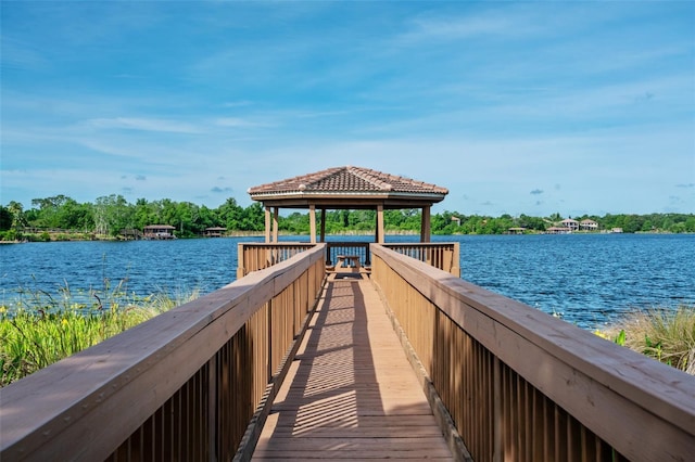 1524 Lake Rhea Dr, Windermere, FL 34786 - photo 69