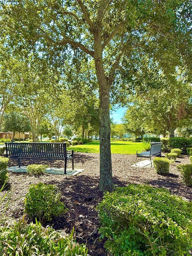 15458 Honeybell Dr, Winter Garden, FL 34787 - photo 34