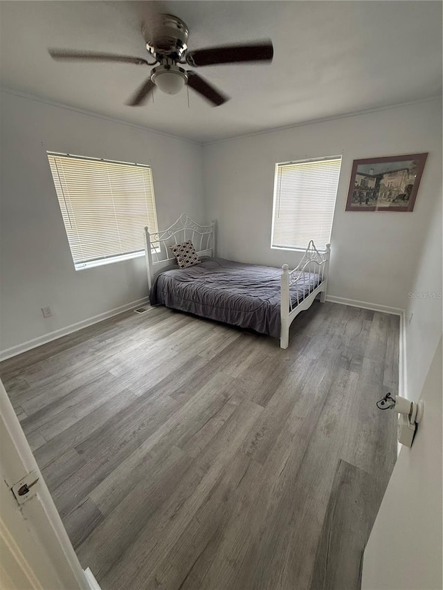 419 N Frankfort Ave, Deland, FL 32724 - photo 10