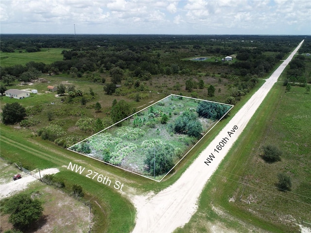 16005 NW 276th St, Okeechobee, FL 34972 - photo 3