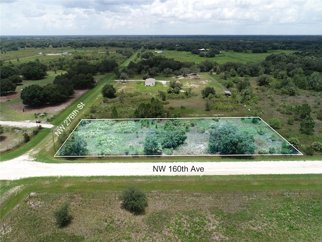 16005 NW 276th St, Okeechobee, FL 34972 - photo 4