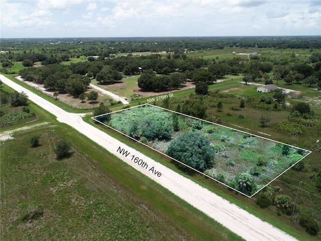 16005 NW 276th St, Okeechobee, FL 34972 - photo 5