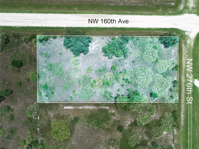 16005 NW 276th St, Okeechobee, FL 34972 - photo 9