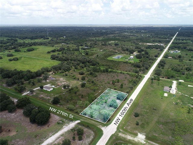 16005 NW 276th St, Okeechobee, FL 34972 - photo 13
