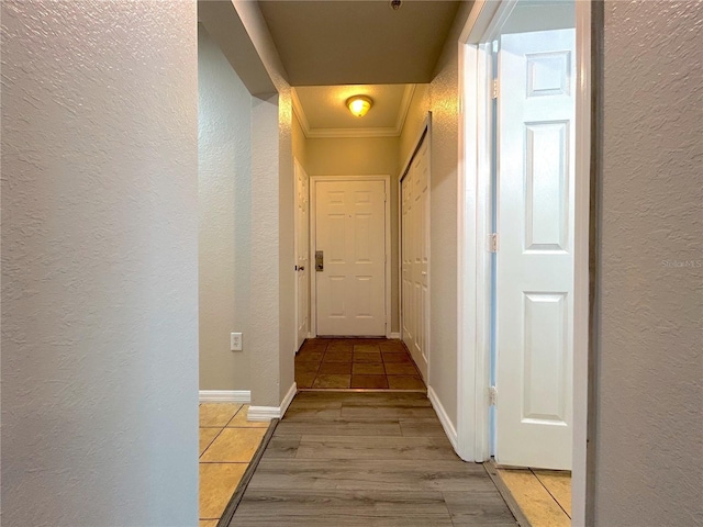 3700 Castle Pines Ln Unit 4024, Orlando, FL 32839 - photo 4