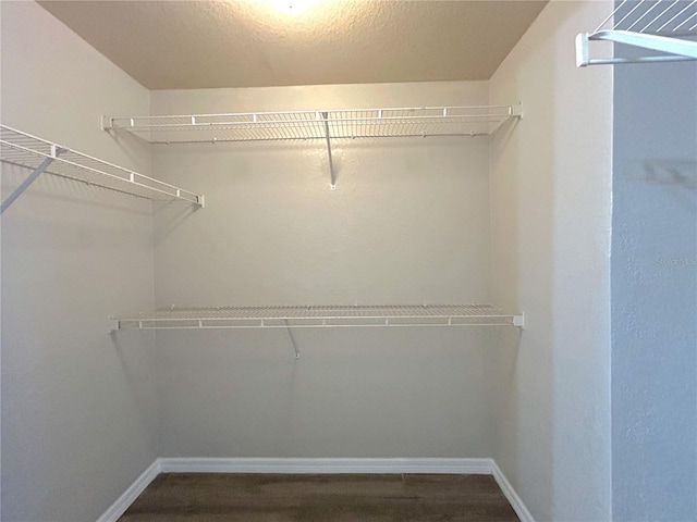 3700 Castle Pines Ln Unit 4024, Orlando, FL 32839 - photo 19
