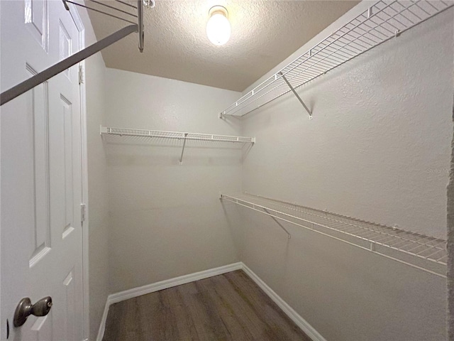 3700 Castle Pines Ln Unit 4024, Orlando, FL 32839 - photo 20