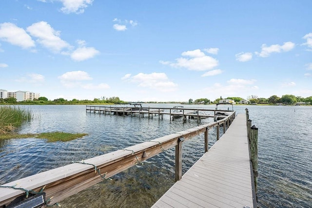 4117 Fairview Vista Pt Unit 305, Orlando, FL 32804 - photo 28