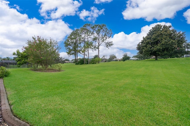 39601 Harbor Hills Blvd, Lady Lake, FL 32159 - photo 37