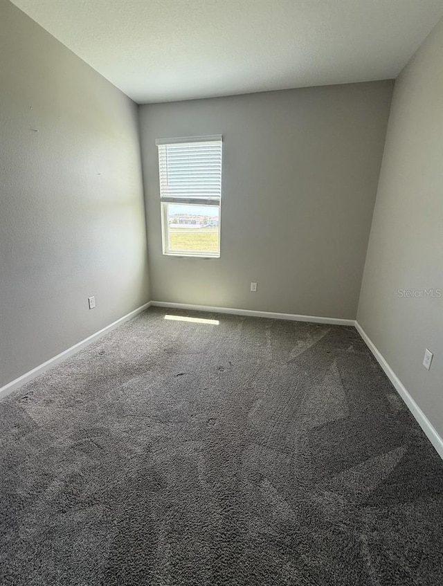 7109 Dilly Lake Ave, Groveland, FL 34736 - photo 11