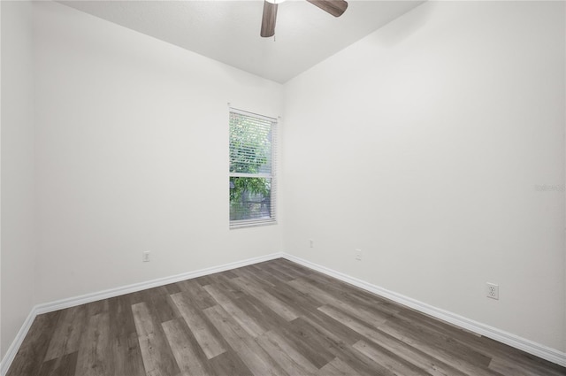 2486 Cimmaron Ash Way, Apopka, FL 32703 - photo 15
