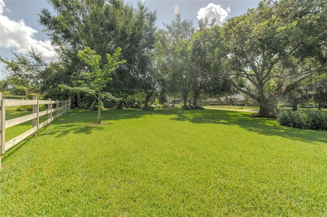 7643 Lake Angelina Dr, Mount Dora, FL 32757 - photo 7