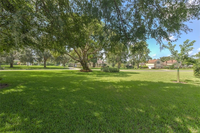 7643 Lake Angelina Dr, Mount Dora, FL 32757 - photo 8