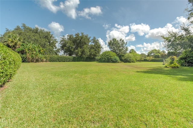7643 Lake Angelina Dr, Mount Dora, FL 32757 - photo 10