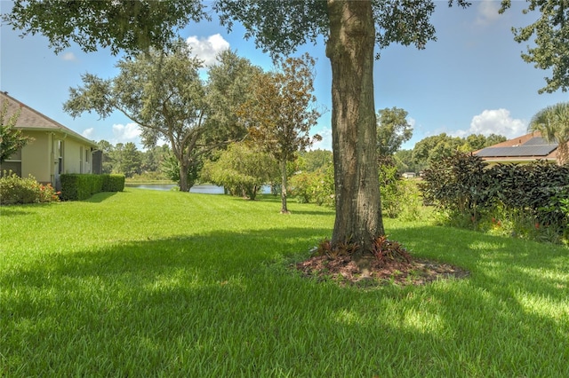 7643 Lake Angelina Dr, Mount Dora, FL 32757 - photo 37