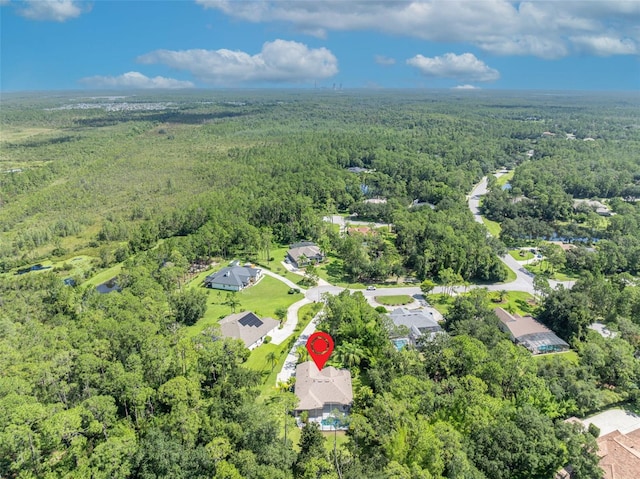13916 Bramble Bush Ct, Orlando, FL 32832 - photo 42