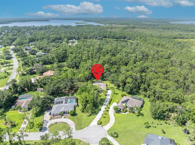 13916 Bramble Bush Ct, Orlando, FL 32832 - photo 43