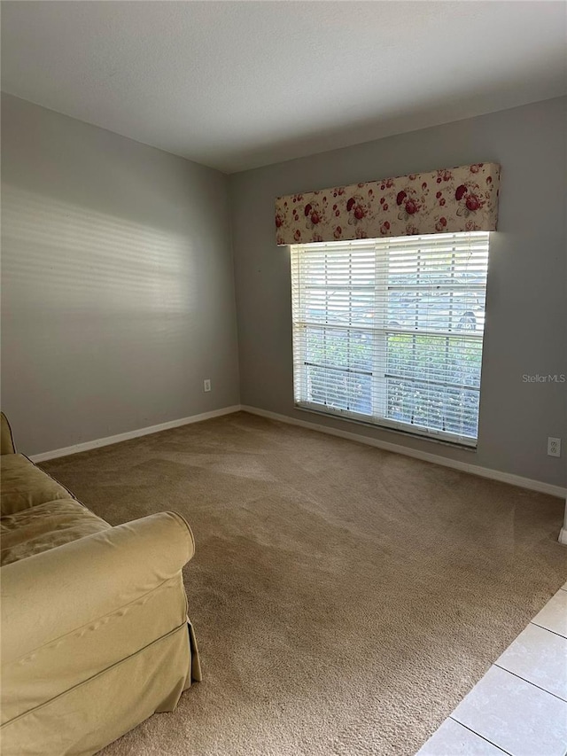 701 June Lake Ln, Brandon, FL 33510 - photo 5