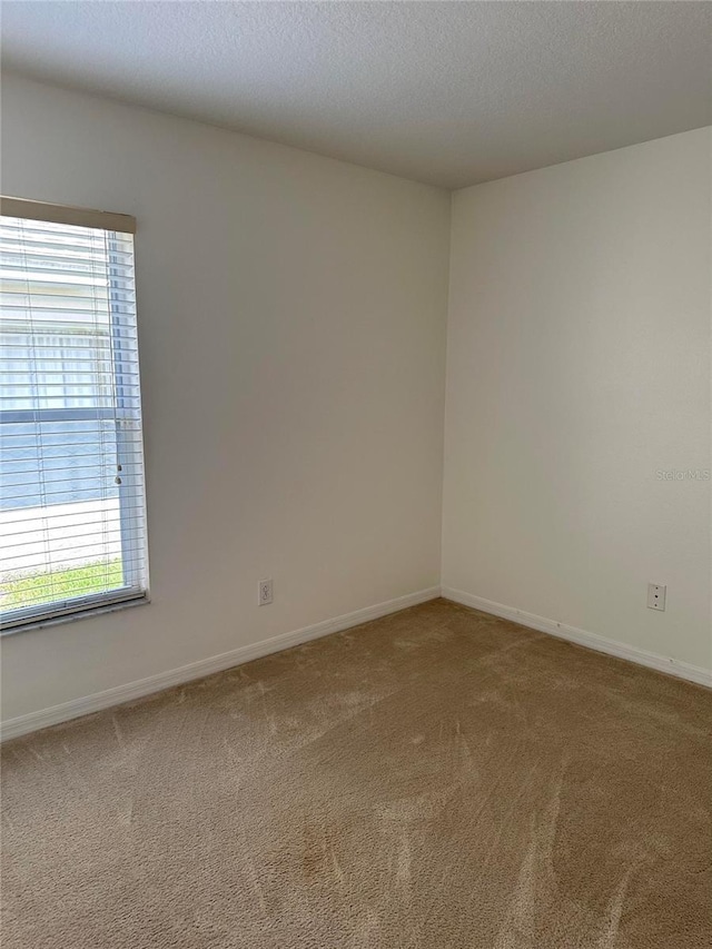 701 June Lake Ln, Brandon, FL 33510 - photo 12