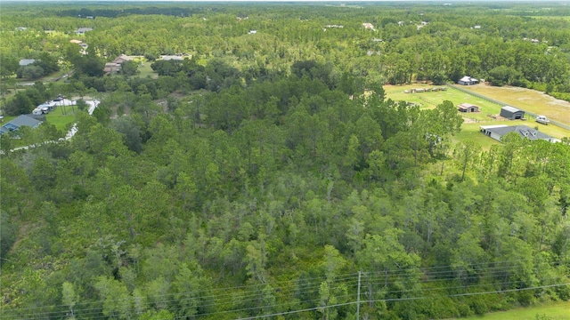 Starry St, Orlando, FL 32833 - photo 1