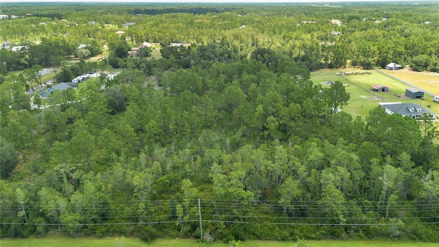 Starry St, Orlando, FL 32833 - photo 2