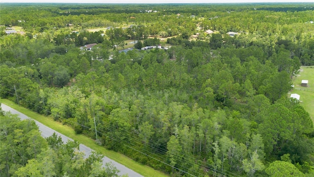 Starry St, Orlando, FL 32833 - photo 3
