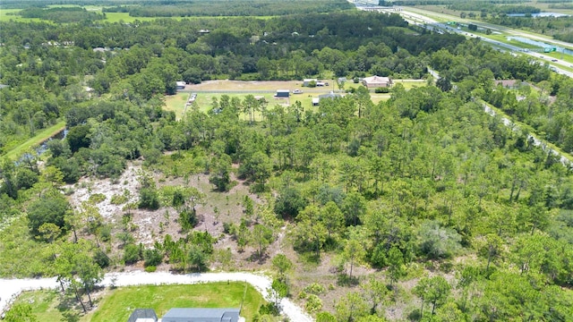 Starry St, Orlando, FL 32833 - photo 8