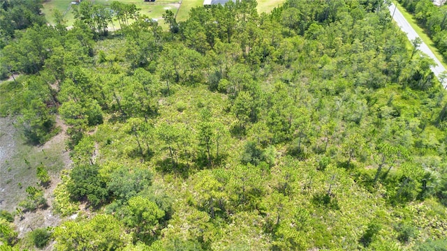 Starry St, Orlando, FL 32833 - photo 11