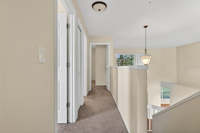 1358 Sassafras Ave, Altamonte Springs, FL 32714 - photo 20
