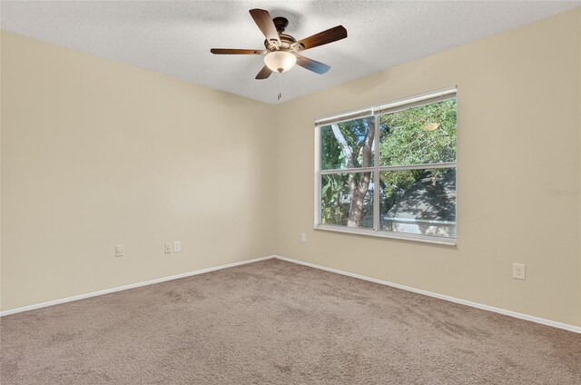 1358 Sassafras Ave, Altamonte Springs, FL 32714 - photo 23
