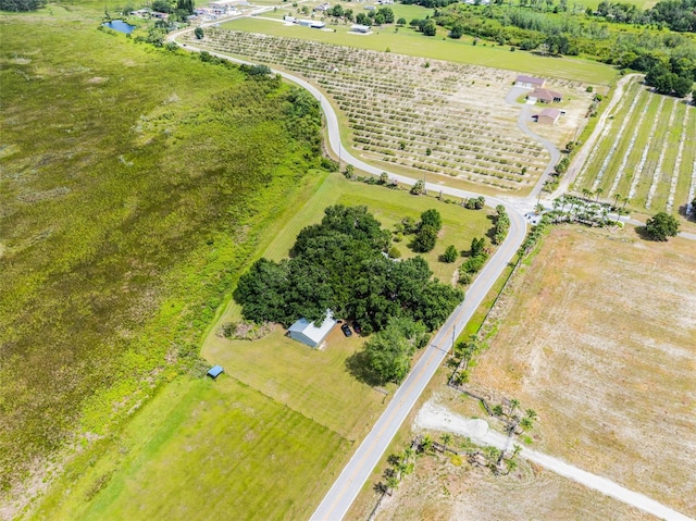 7500 Lake Lowery Rd, Haines City, FL 33844 - photo 4