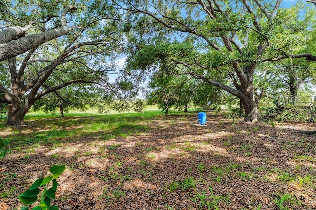 7500 Lake Lowery Rd, Haines City, FL 33844 - photo 34