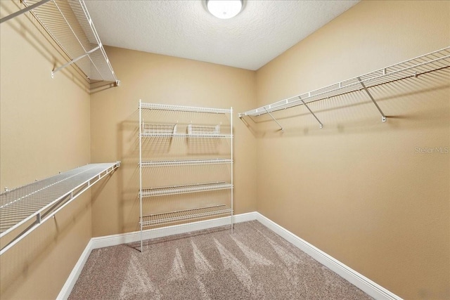 915 Aragon Ave, Winter Park, FL 32789 - photo 20