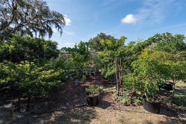 9017 Littleton Ct, Orlando, FL 32817 - photo 61