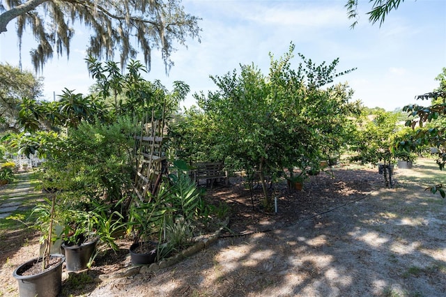 9017 Littleton Ct, Orlando, FL 32817 - photo 64