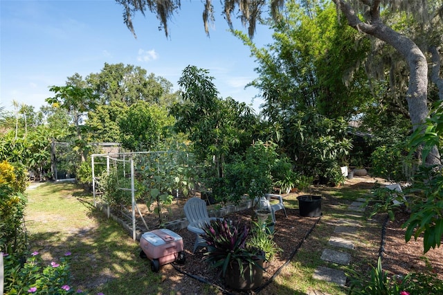 9017 Littleton Ct, Orlando, FL 32817 - photo 68