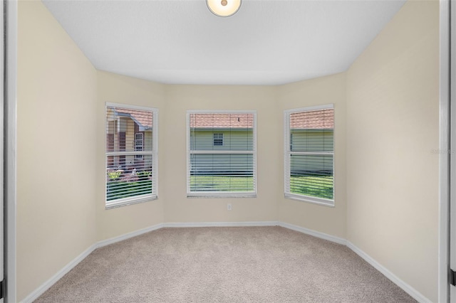 5622 King James Ave, Leesburg, FL 34748 - photo 13